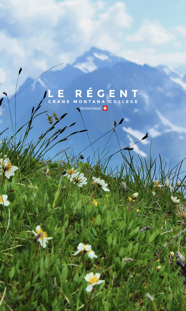 Le Regent website cover image